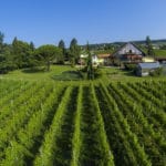 Domaine de la Capitaine Traiteur Vaud